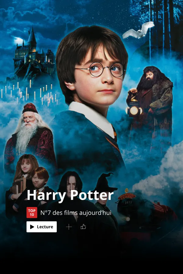 Affiche Harry Potter : L'argent et le stress